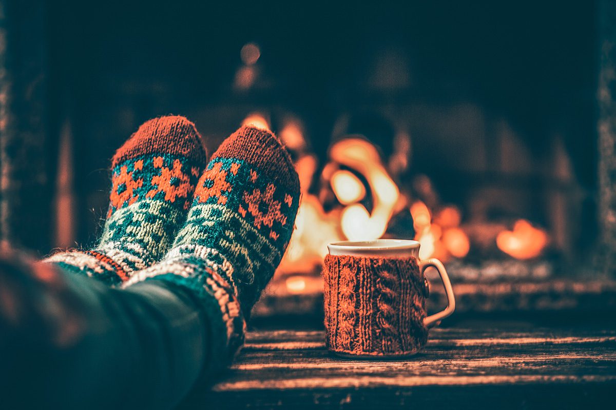 winter pests