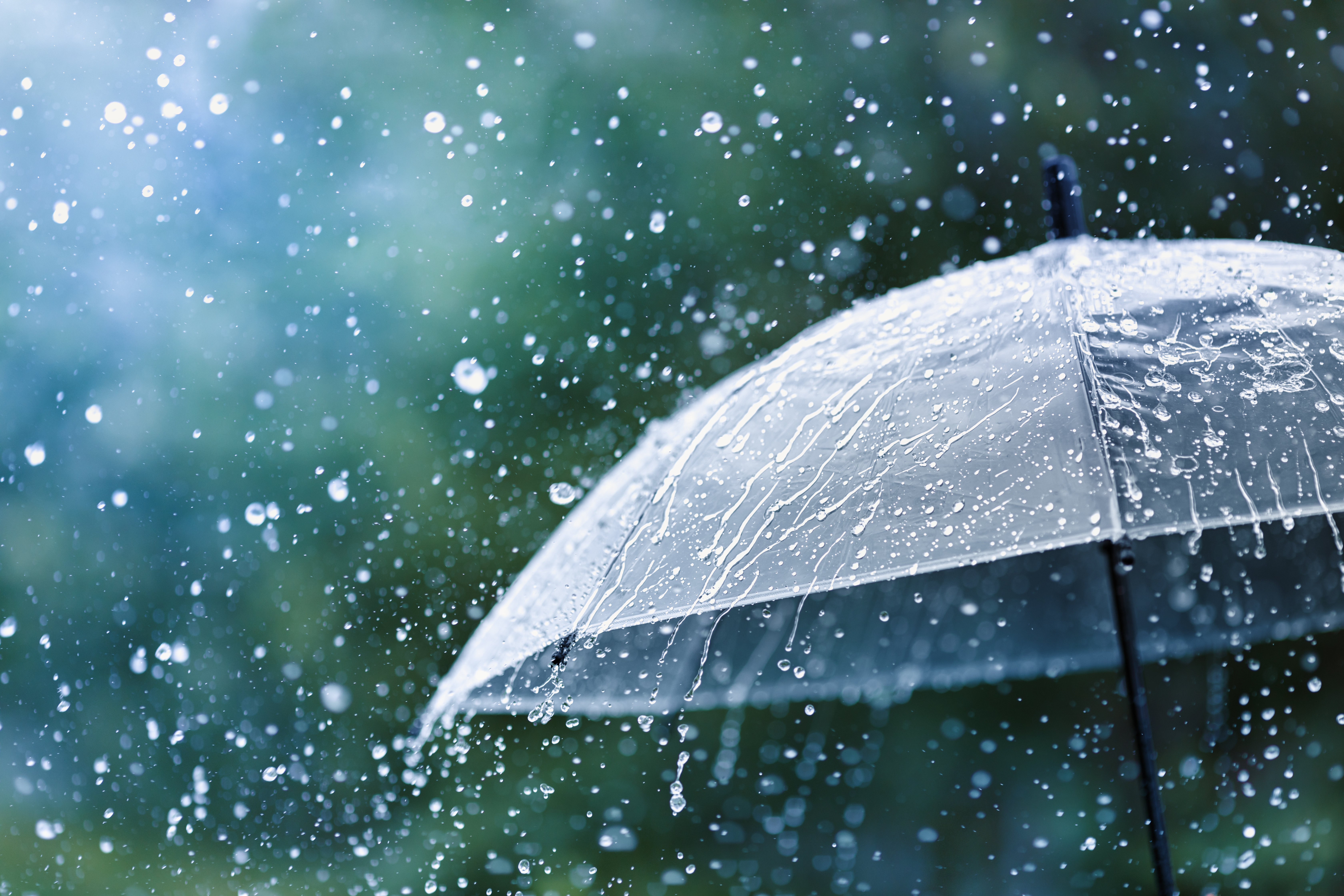 Alpine, AL - The Role of Weather in Pest Infestations - Pest Control News