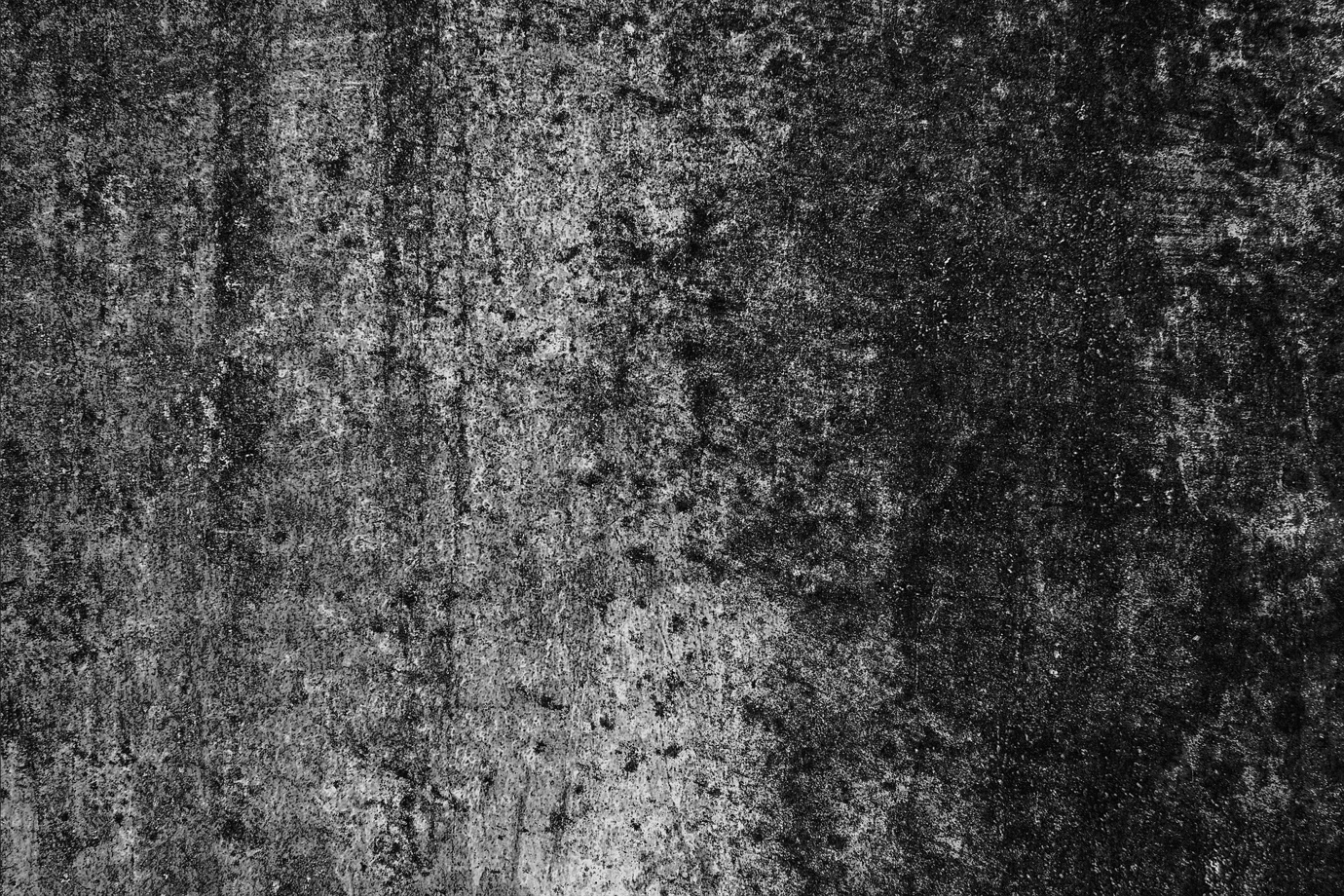 Mold 