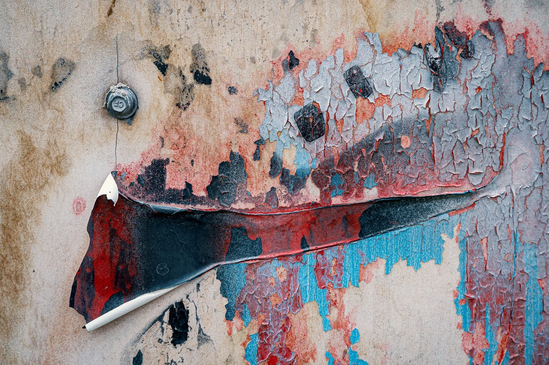 Mold Removal