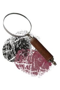 Crime Investigation
