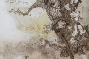 Cleaning the Wall
