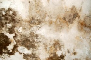 Stubborn Stains
