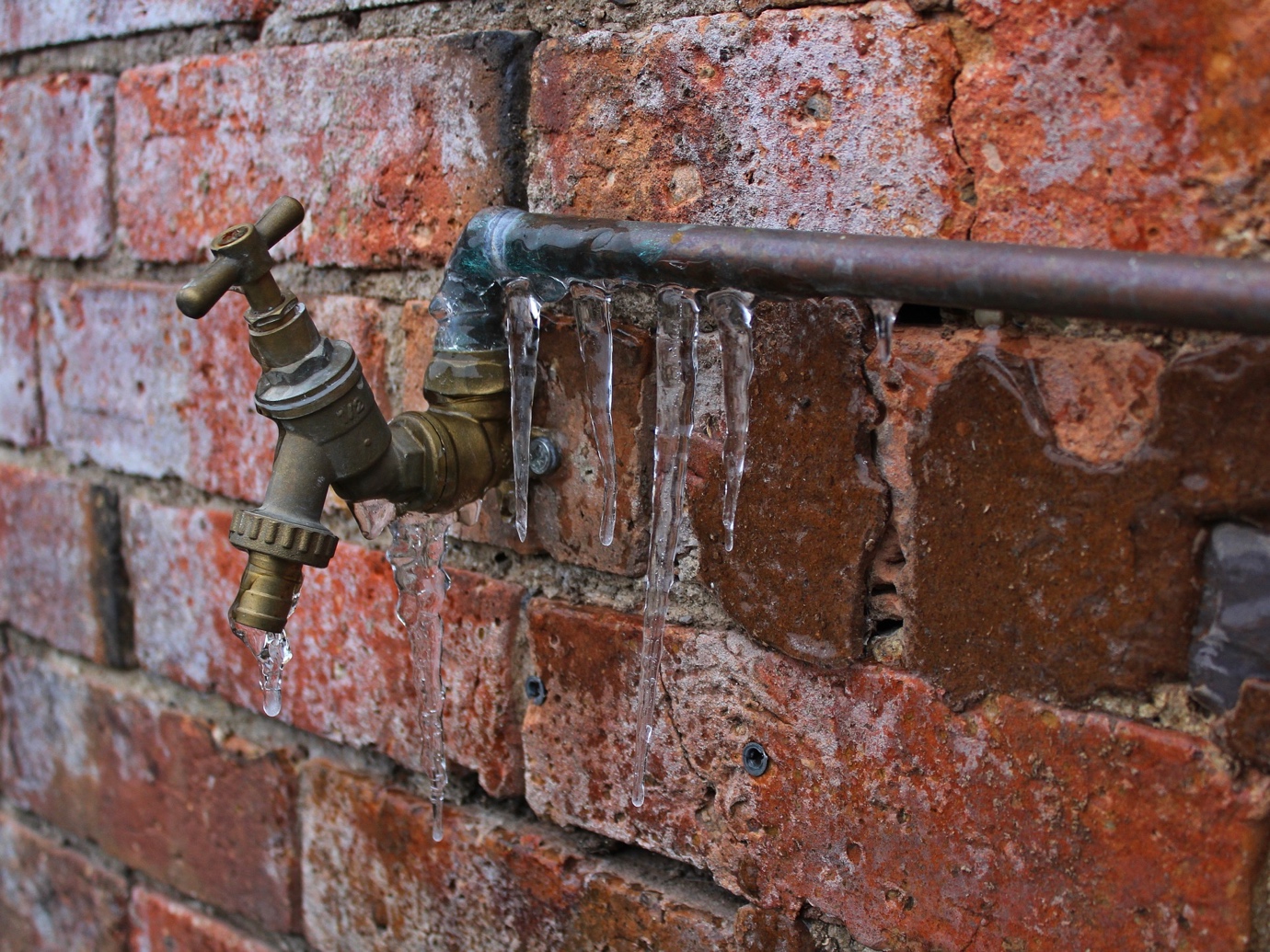 Bakersfield CA – Home Restoration Company Specializes in Water Damage Mitigation