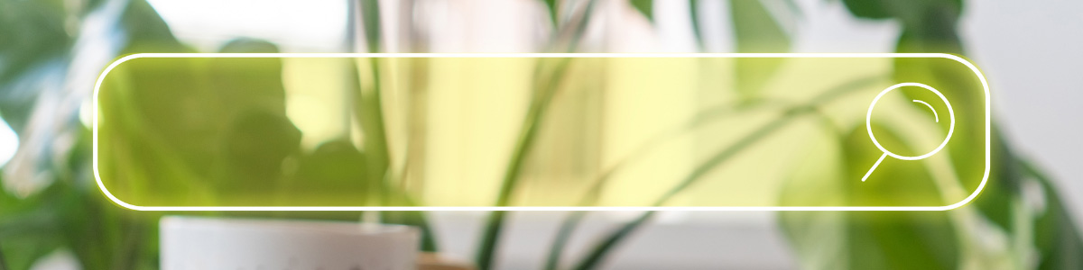 Beginner’s Guide to Search Ads