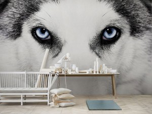 Design Wall Graphic