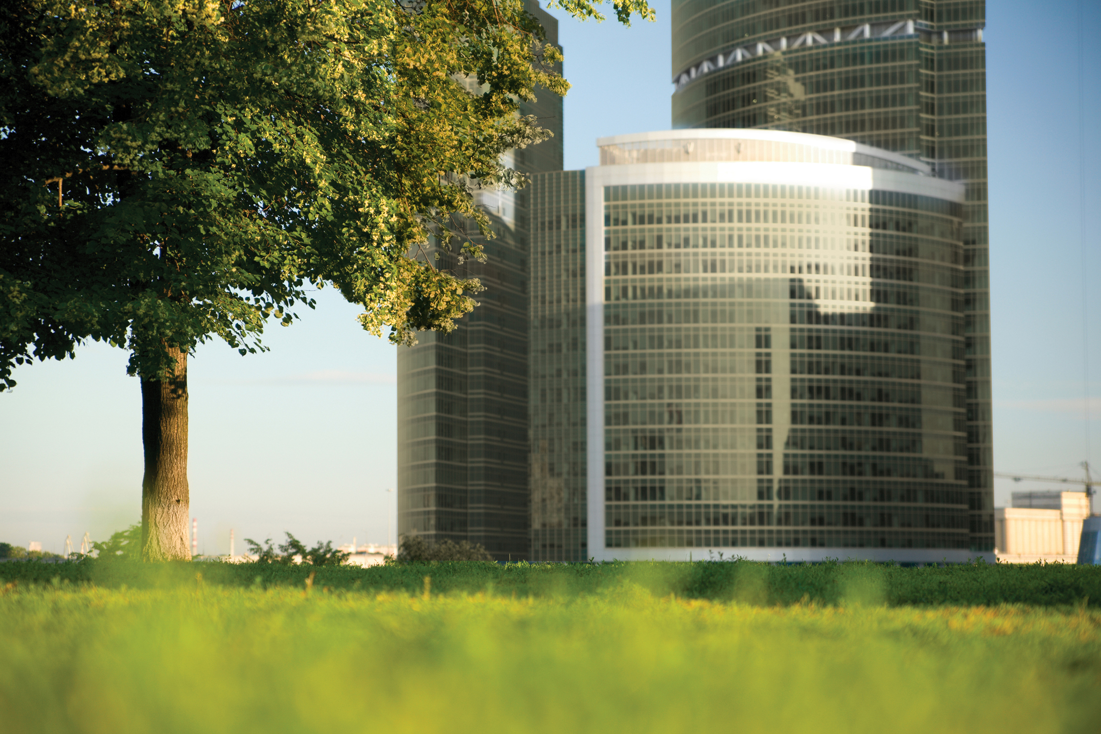 Beautiful modern high glass building with a green landscape on the foreground.