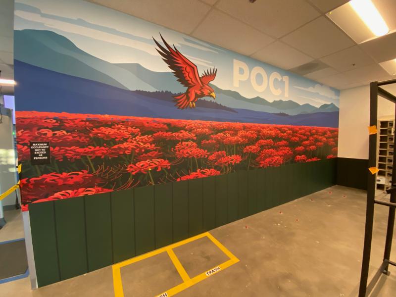 Custom wall wraps and graphics in orange county, ca