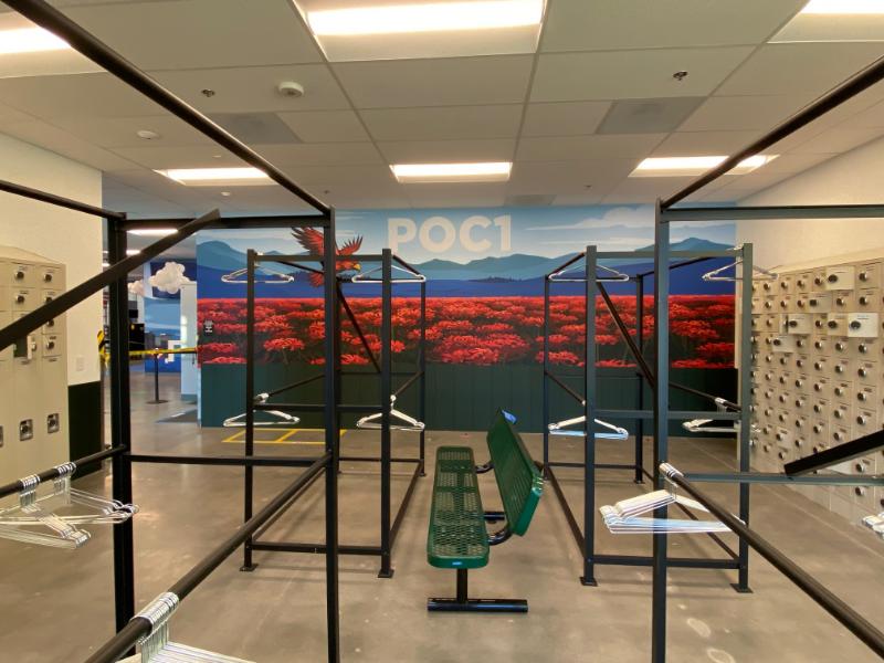 Custom designed wall murals and graphics in orange county, ca