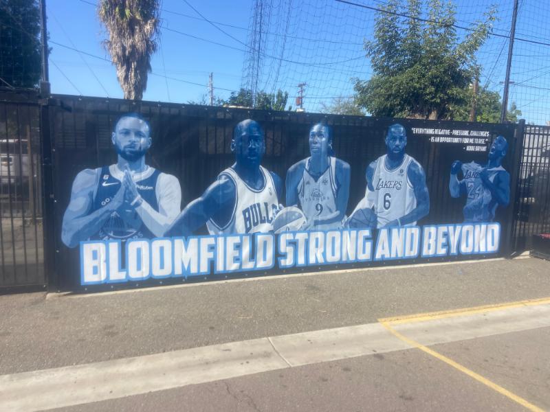 Mesh fence banners for schools in los angeles, ca