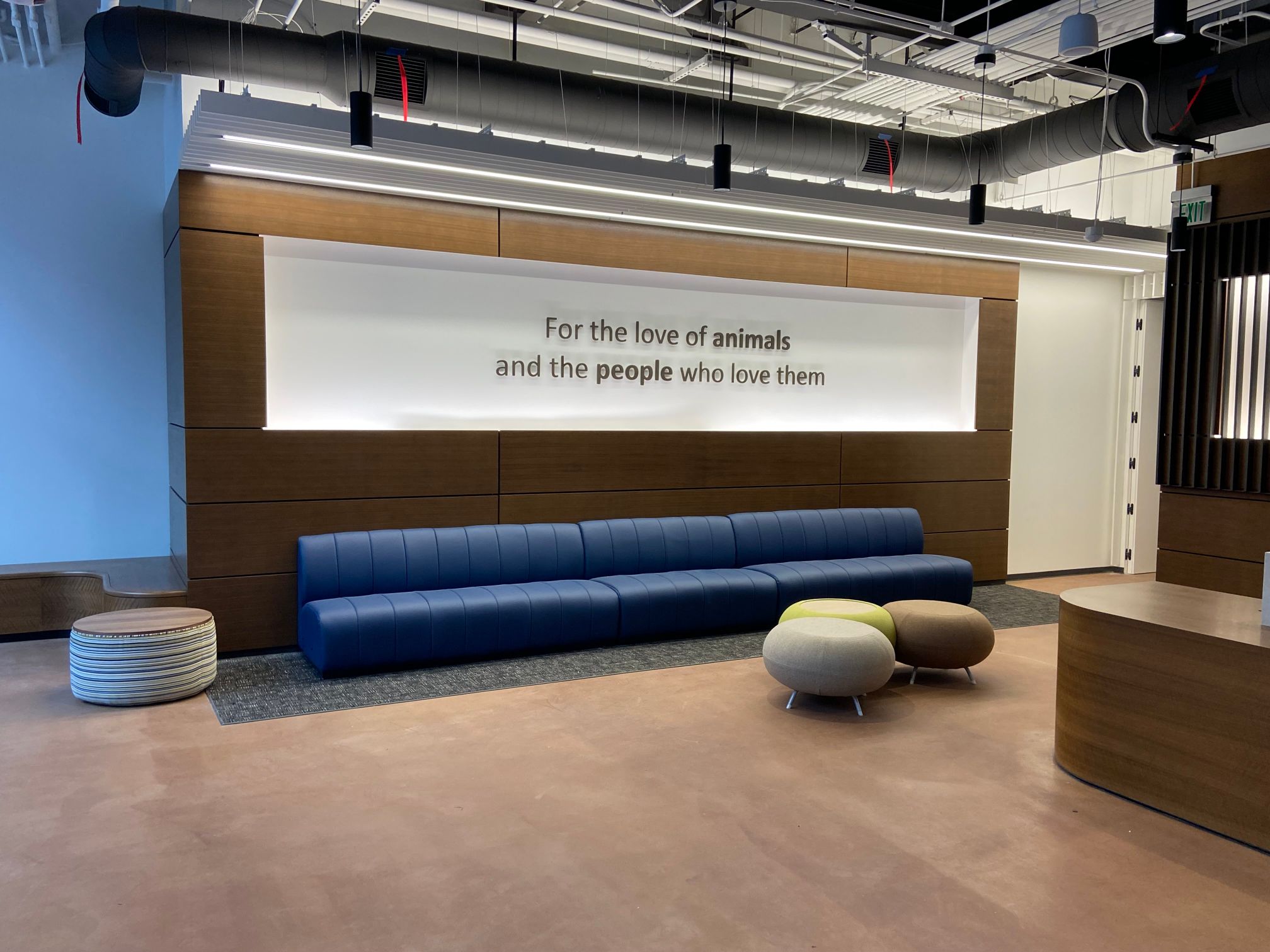 3d lettering for office walls in los angeles