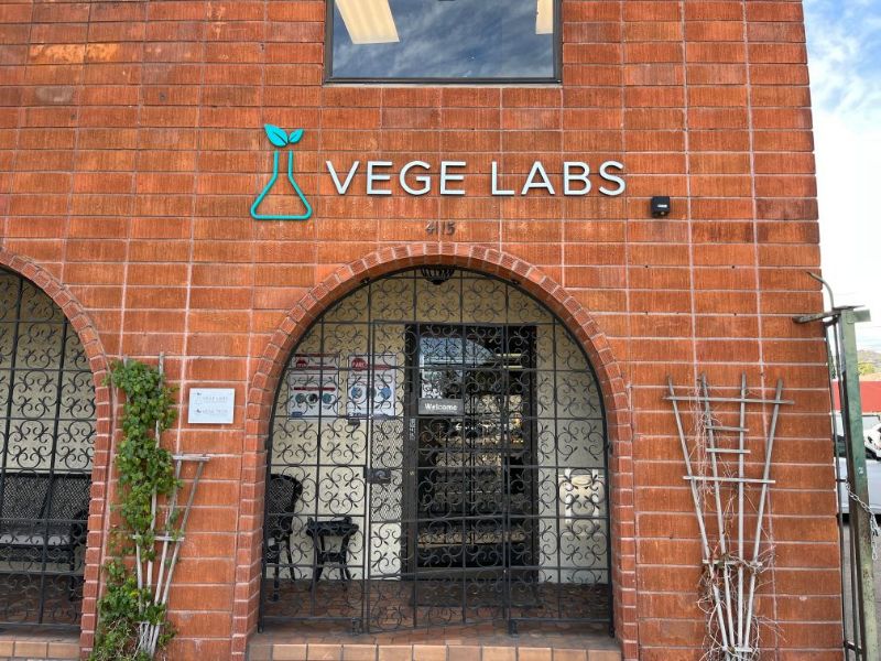 Brushed Metal Building Logo Signs for Businesses in Los Angeles, California