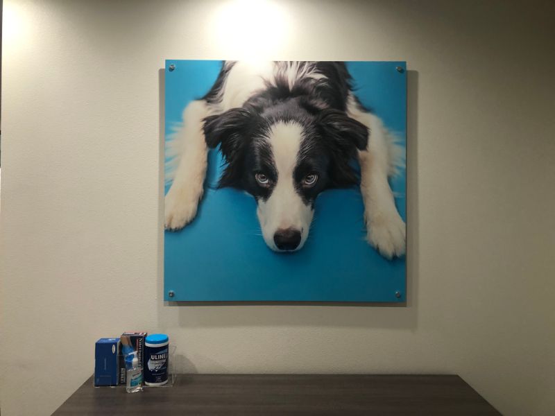 Office Wall Art and Wall Lettering Decorate Los Angeles Campus for NVA!