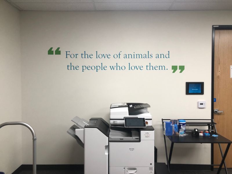 Office Wall Art and Wall Lettering Decorate Los Angeles Campus for NVA