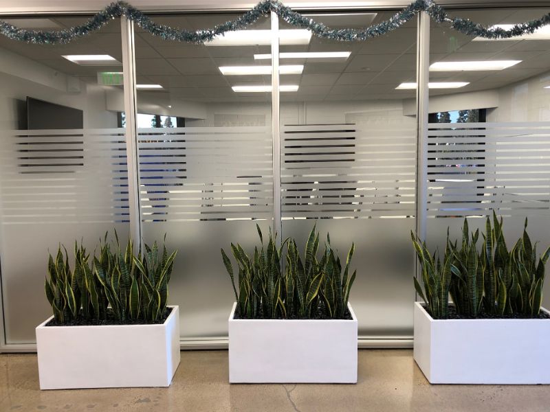 window graphics in Orange County