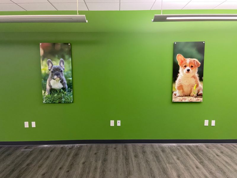 office signs and graphics branding project in Thousand Oaks CA