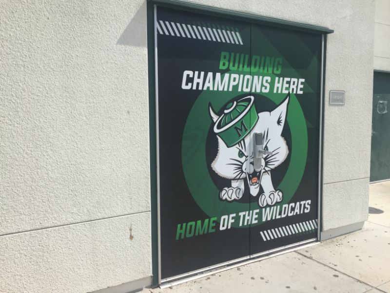Wall Graphics and Wraps
