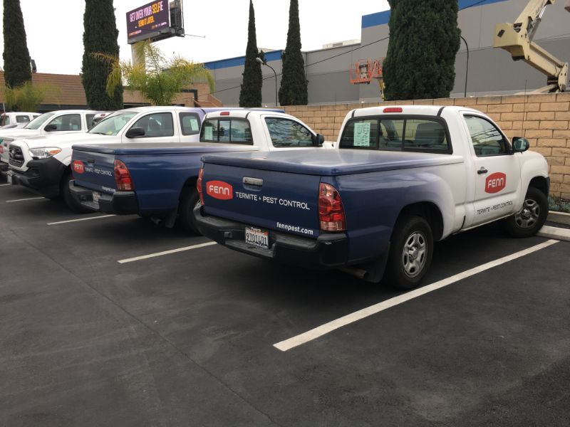 affordable vinyl graphics program for fleet vehicles