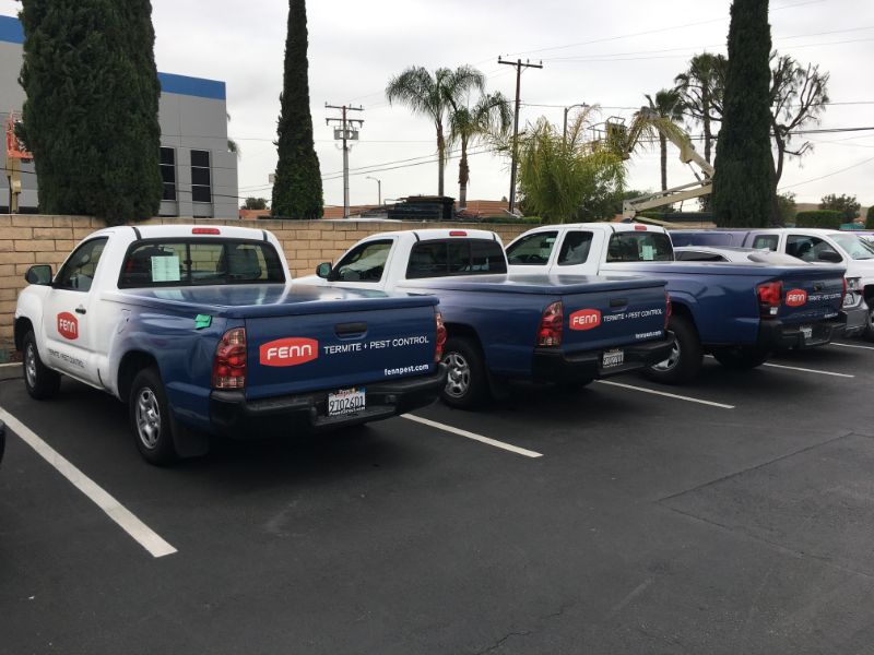 affordable vinyl graphics program for fleet vehicles
