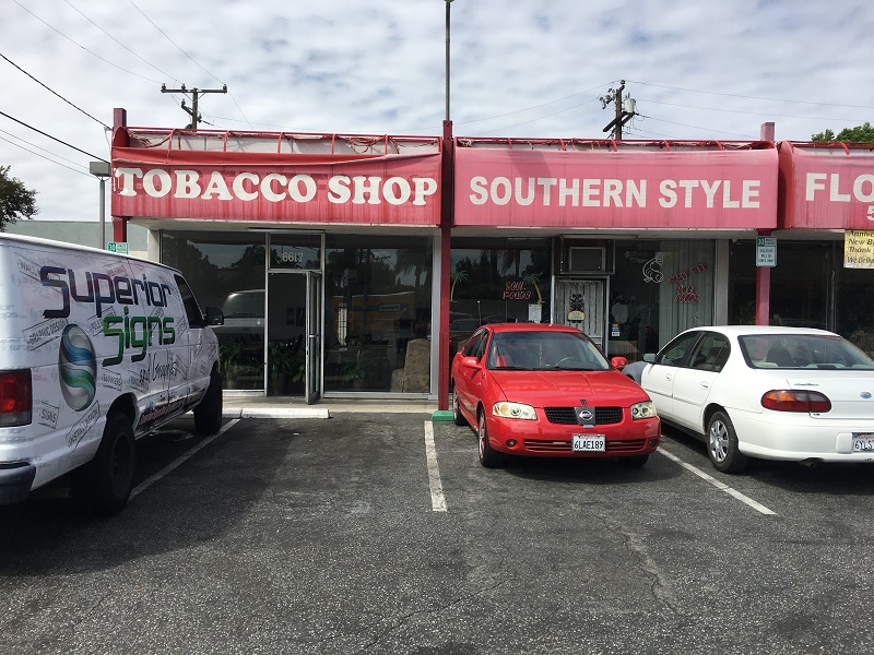 custom murals and window graphics