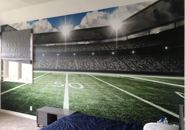 Wall Murals for Boys Bedrooms in Orange County CA
