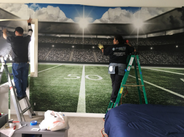Residential Wall Murals in Orange County CA