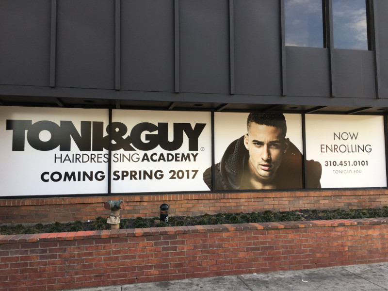window graphics for new businesses in Los Angeles CA