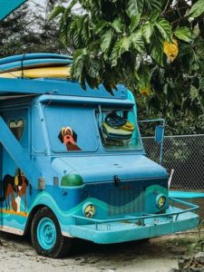 Vehicle Wraps