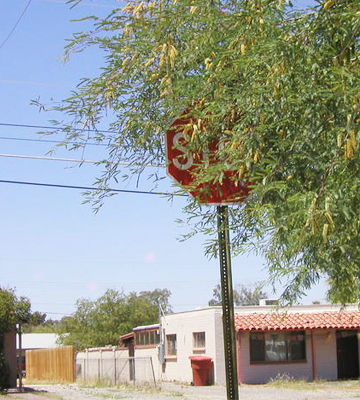 Obstructed Signage