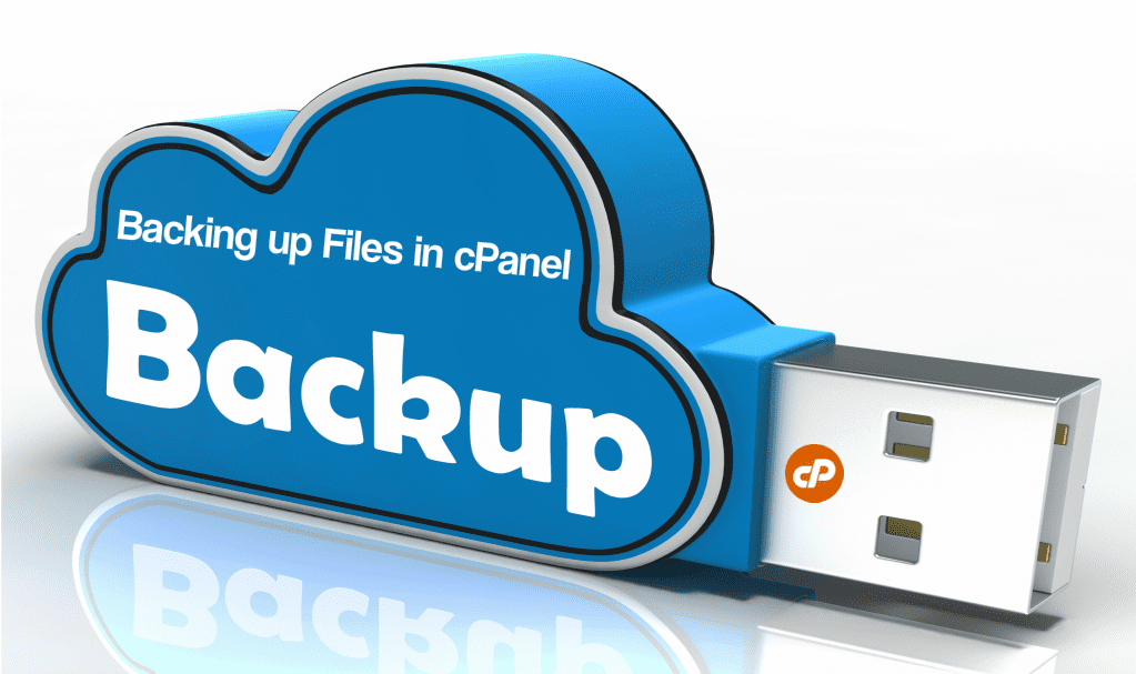 Website Backup and Recovery