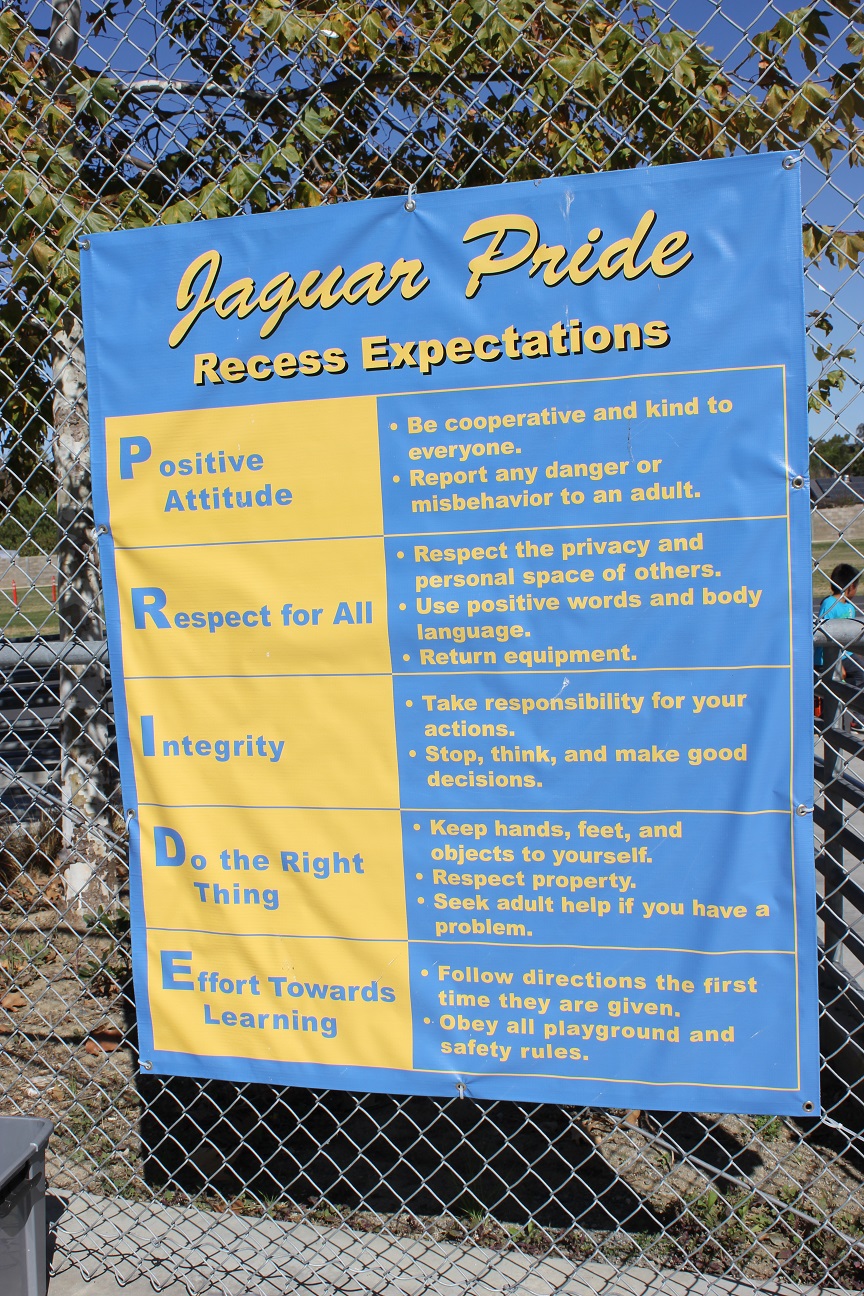 Jaguar Banner_lo
