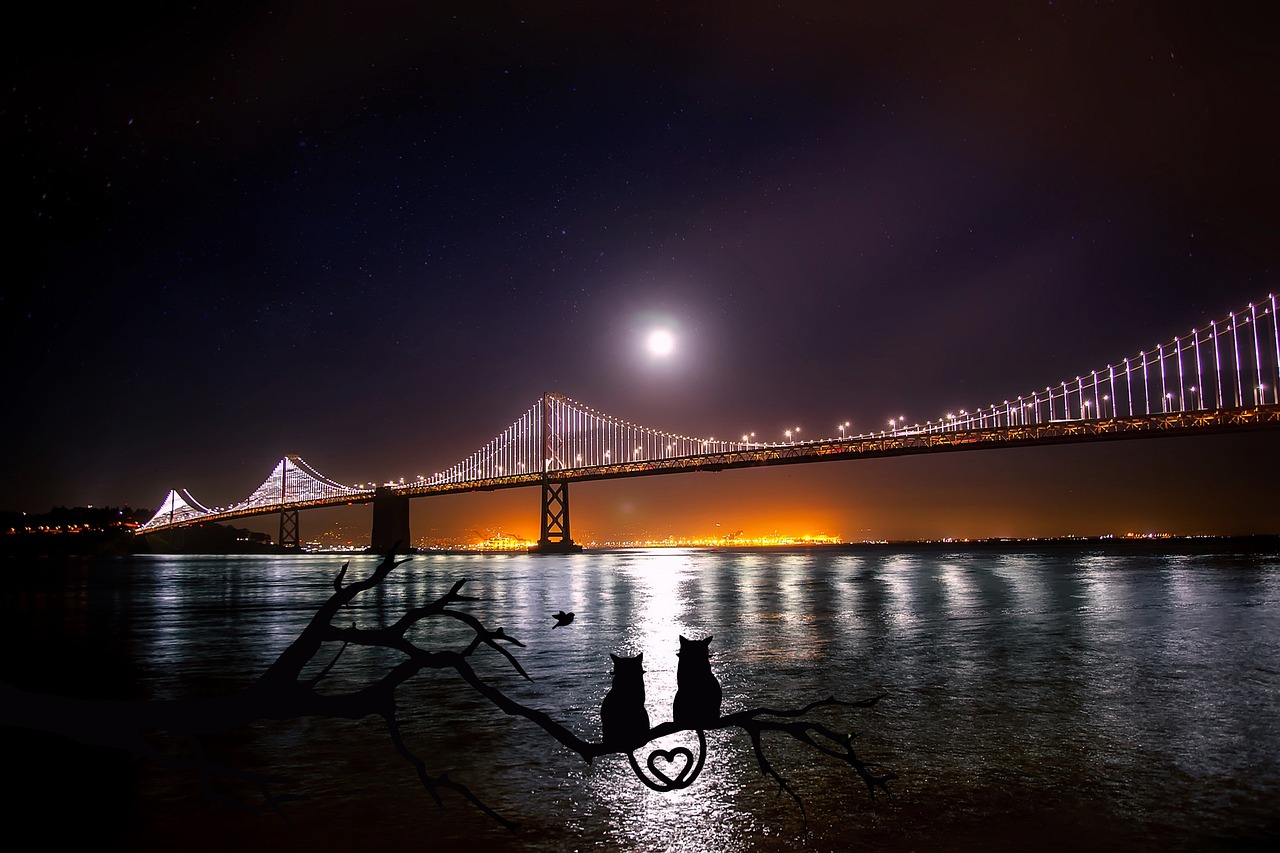 Oakland, CA — How Do I Find the Best Financial Planners in the East Bay Area?