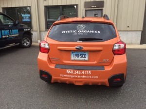 Back view Mystic Organic