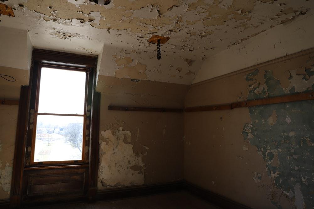 Mold Remediation