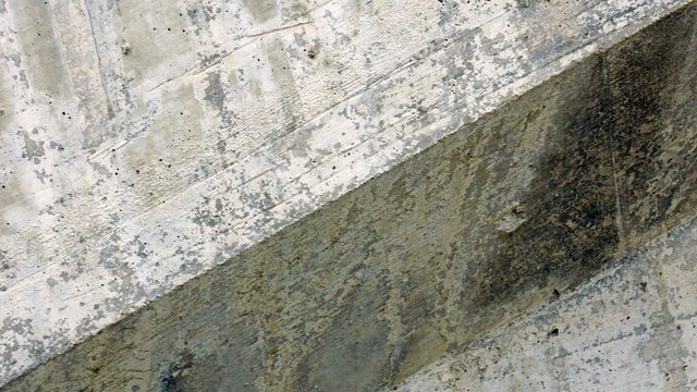 Mold Removal