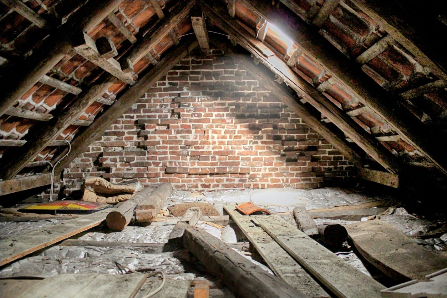 Mold in the Attic