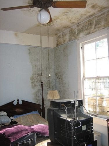 Peeling Wallpaper