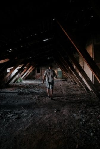 Mold in Attic