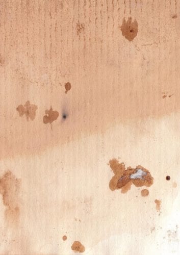 Mold Growth