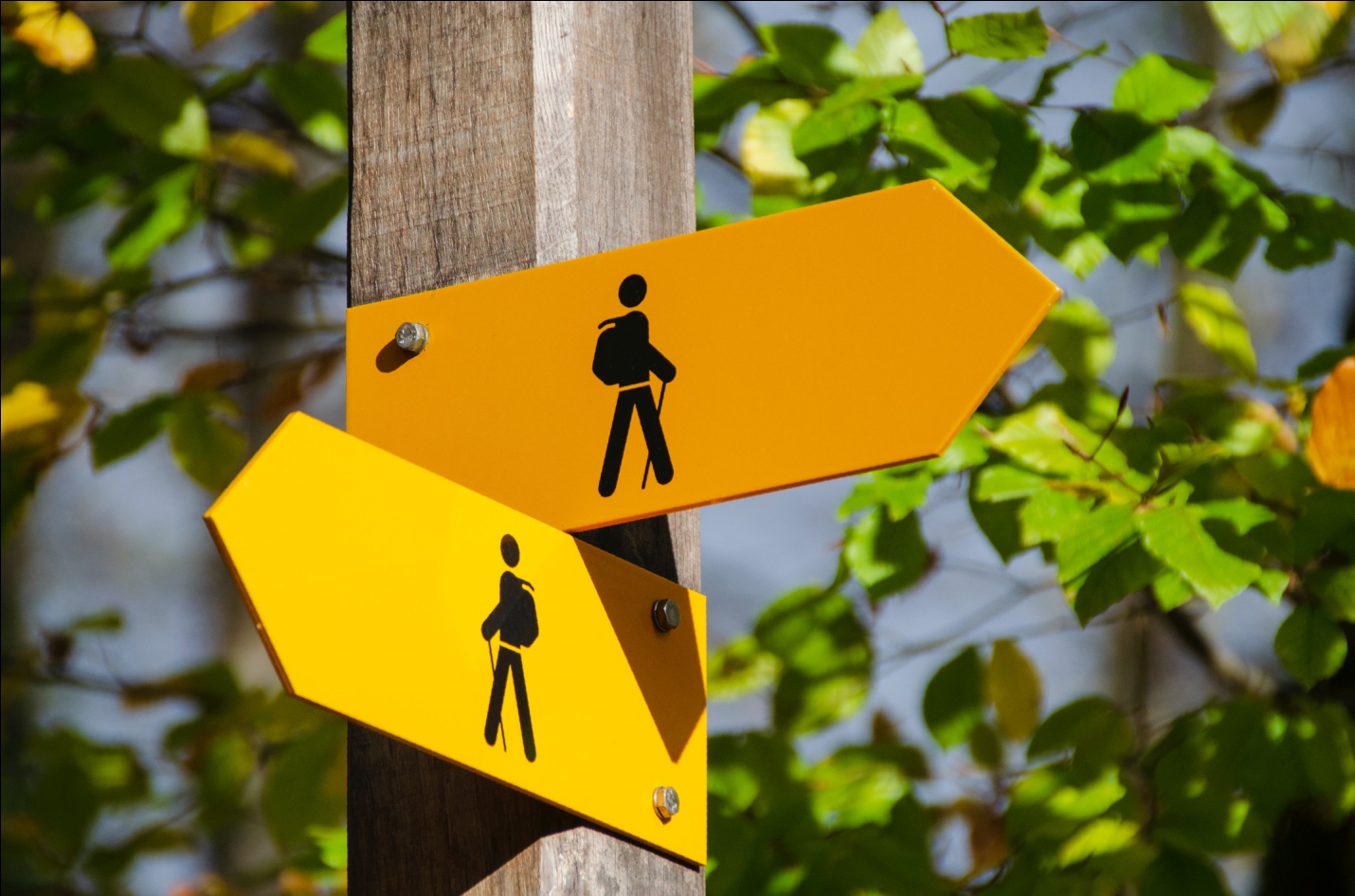 Wayfinding Signs