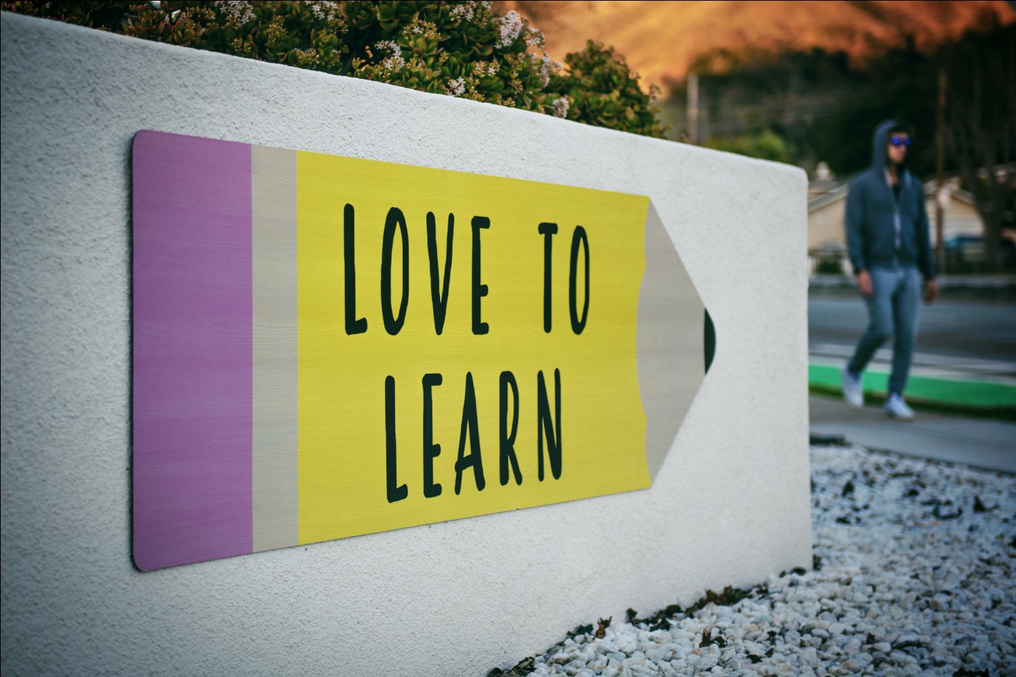 School Signs