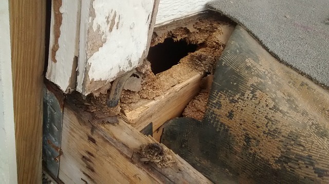 For Top Rated Home Repair from Water Damage Call S.T.O.P. in Coeur d’Alene, ID