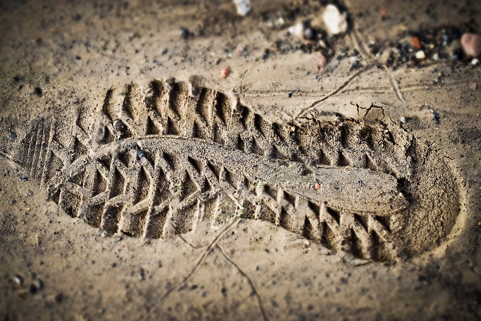 Spotted a Crime Scene