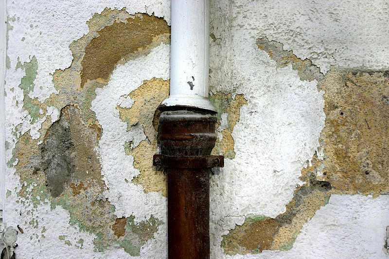 Treat Water Damage