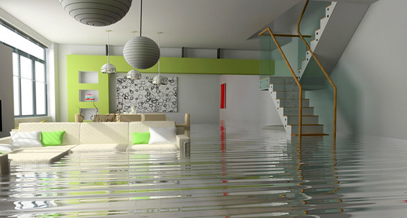 Water Damage Cleanup
