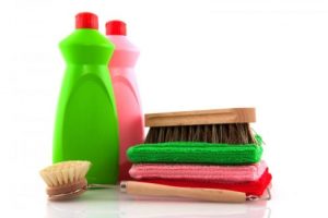 Mold Removal