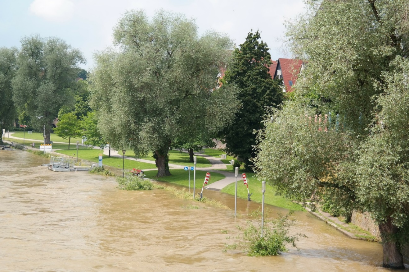 Colorado Springs, CO - Contact a Water Damage Company For Extraction Services