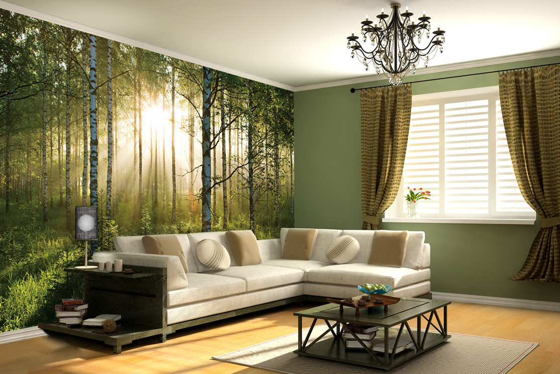 Colorado Springs, CO – Wall Graphics Can Use ANY Image to Create Your Custom Look