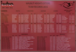 This is the team scoreboard, which is a record of the previous season's star performers