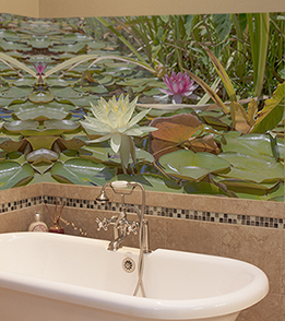 Mural behind the bath! This was taken at San Juan Capistrano. Lilly pond and fountain. 